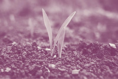 "They tried to bury us. They didn't know we were seeds." Dinos Christianopoulos.
