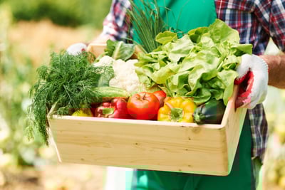 Plantes alimentaires