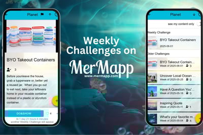 screenshots showing the weekly challenges on MerMapp