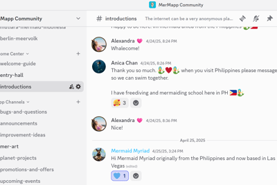 screenshot of the introductions' channel on MerMapp's Discord community chat