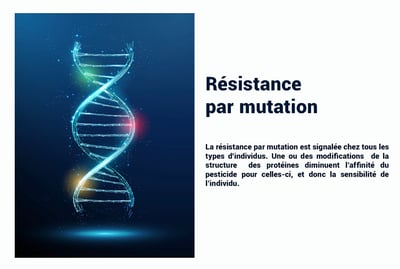 PESTICIDES RÉSISTANCE MUTATION