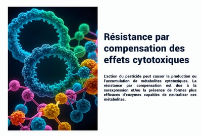 PESTICIDES RÉSISTANCE COMPENSATION EFFETS CYTOTOXIQUES