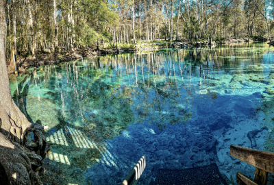 Wooden steps descend into the shallow clear aqua spring waters in Central Florida