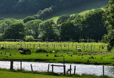 Theview over the river Dyfi from the campsite