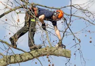 a man in a helmet is using a chainsawl to cut down a tree