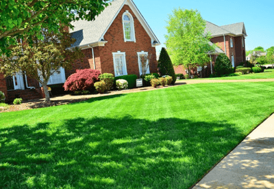 a lawn with a lawn and a house in the background