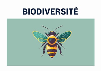 PESTICIDES BIODIVERSITÉ EXTINCTION DE MASSE