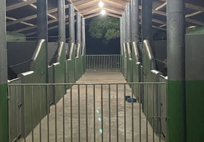 Baias para cavalos em Fortaleza-CE