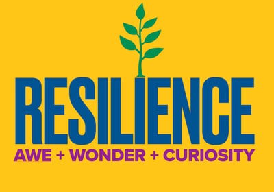 a yellow and blue sign that says resilince ave ave wonder wonder wonder wonder