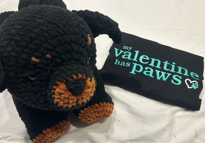 my valentine has paws