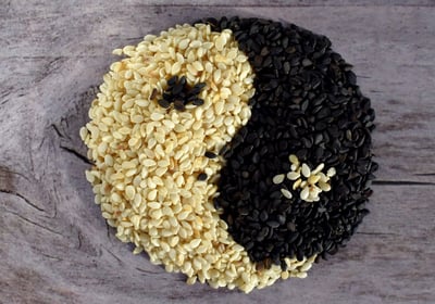 Food Energetics