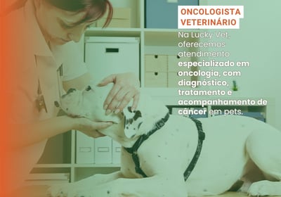 Oncologista Veterinário é na Lucky Vet, Pet Shop e Clínica Vererinária na Zona Norte de São Paulo