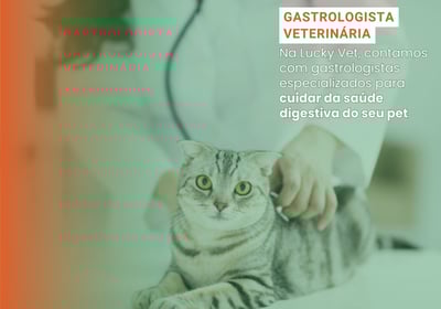 Gastrologista Veterinário é na Lucky Vet, Pet Shop e Clínica Vererinária na Zona Norte de São Paulo