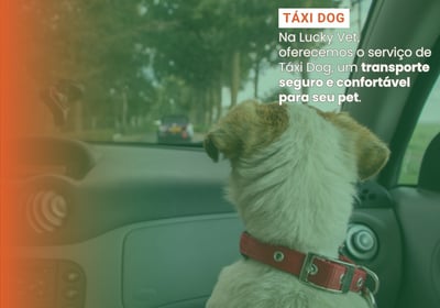 Taxi Dog é na Lucky Vet, Pet Shop e Clínica Vererinária na Zona Norte de São Paulo