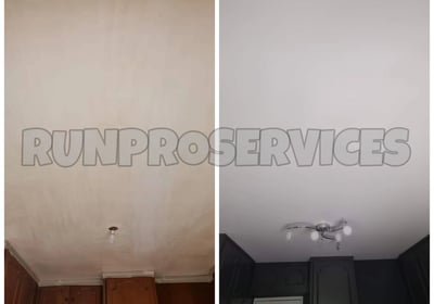 remise en état plafond Île-de-France