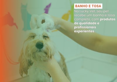 Banho e Tosa é na Lucky Vet, Pet Shop e Clínica Vererinária na Zona Norte de São Paulo