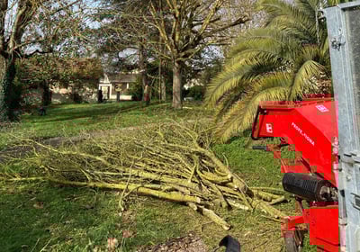 broyeur de branche