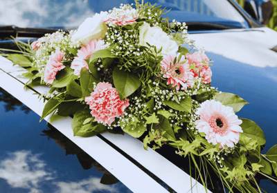 Design Sans Titre 46 AQEx8nQMQ2SQB8DB