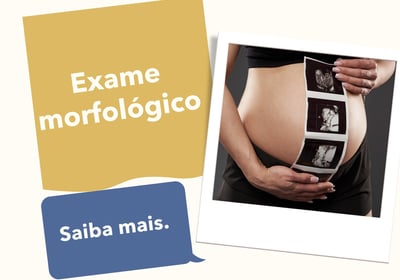 grávida com ultrassonografia e exame morfológico