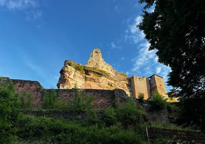 Le Fleckenstein