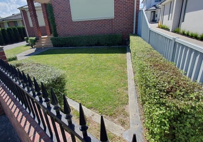 Hedge Trimming, General garden maintenance and landscaping