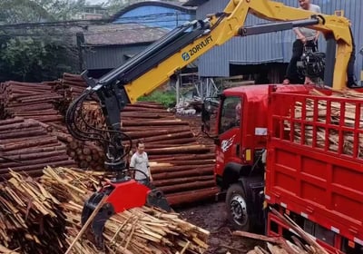 Customer's red truck: yellow ZORYLIFT forestry crane (timber crane) with grapple handling cut logs.