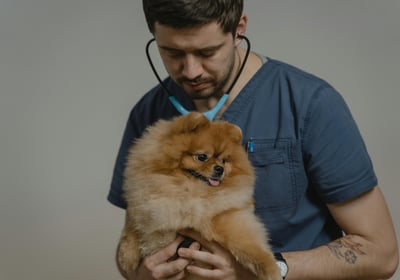 a vet doctor is holding a dog