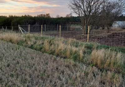 Post and wire fence