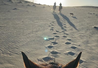 Passei a cavalo em Fortaleza-CE