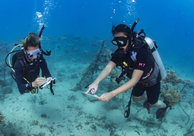 PADI Aware Speciality course