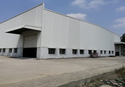 Moonlight Chennai Plant
