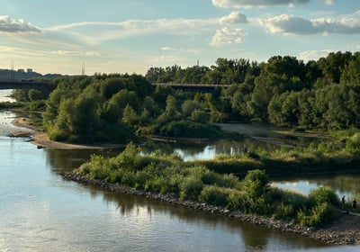 Poznaj przyrodę Warszawy z Naturą Miasta!