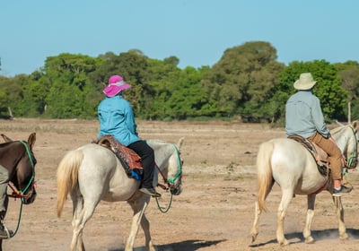 Horseback Ride at Pantanal