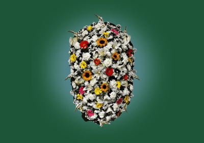 Imagem de coroa de flores A luxo colorida II do grupo maya do serviço funerário de são paulo