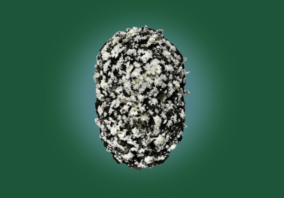Imagem de coroa de flores A Simples do grupo maya do serviço funerário de são paulo