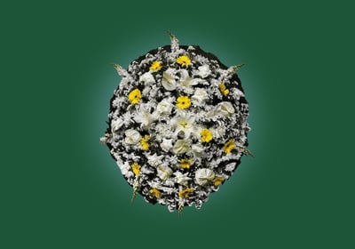 Imagem de coroa de flores B luxo amarela do grupo maya do serviço funerário de são paulo