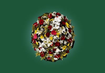 imagem mostra coroa de flores do tipo b luxo III do grupo maya sao paulo