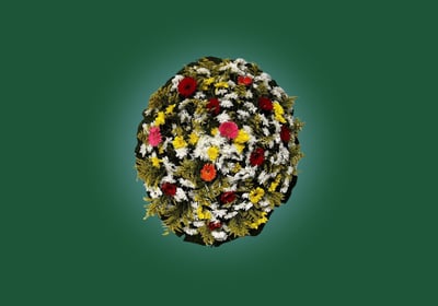 Imagem de coroa de flores B Simples do grupo maya do serviço funerário de são paulo