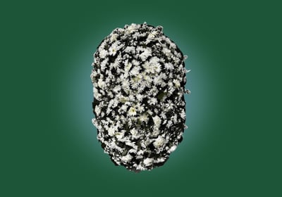 Imagem de coroa de floresA luxo branca do grupo maya do serviço funerário de são paulo