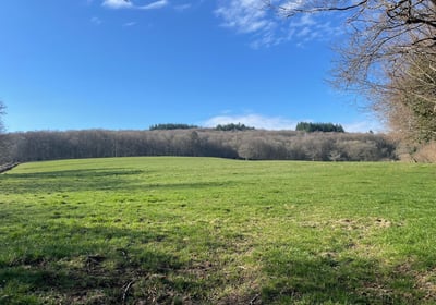 Grand pré de la pension pré équine de la Nièvre