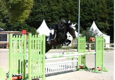 Cheval qui saute un obstacle en compétition