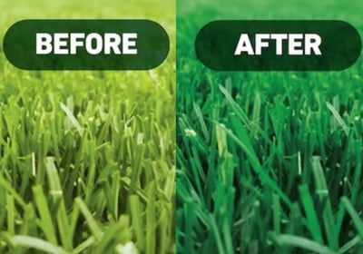 the before and after attention to your grass