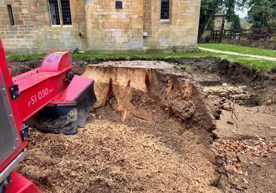 stump grinding warwick