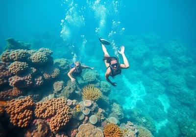Dive into the Maldives' underwater world, teeming with colorful coral reefs and diverse marine life,