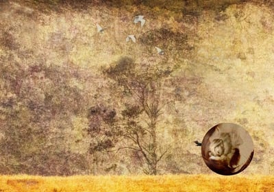 Textured golden landscape with flying birds by Engela Gobregts, artist portrait inset.