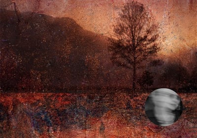 Moody landscape with silhouetted tree at sunset by Ansie du Toit, artist portrait inset