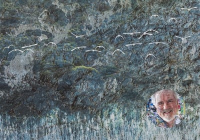 Mixed media artwork of birds flying over textured blue rock with grasses below, by artist Steve Trimby