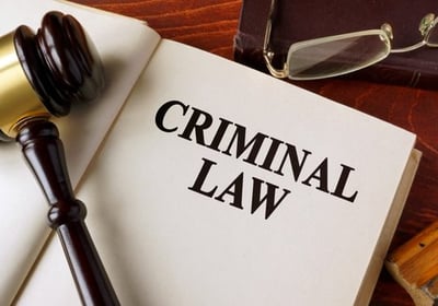 Criminal Law written book