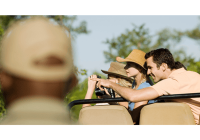 jeep safari in ranthambore national park