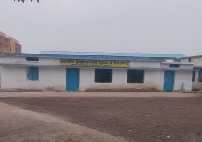 Primary school mudpar